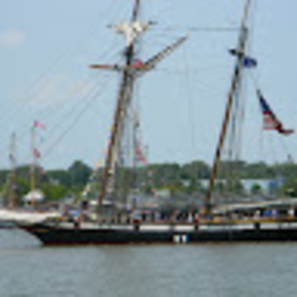 Meet your Posher, Sally - Picture 1 of 1